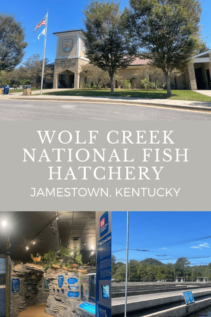 Criadero nacional de peces Wolf Creek