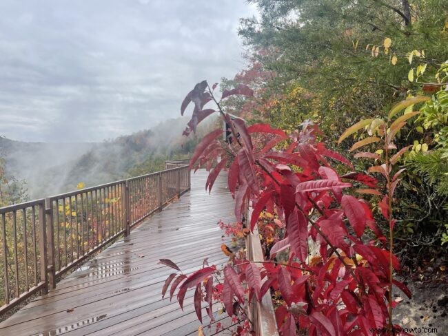 Devil s Jump Overlook para los colores del otoño