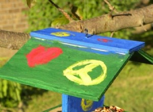 Construyendo comederos para pájaros para el verano