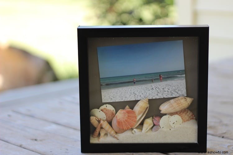 Exhibición de conchas marinas de la playa