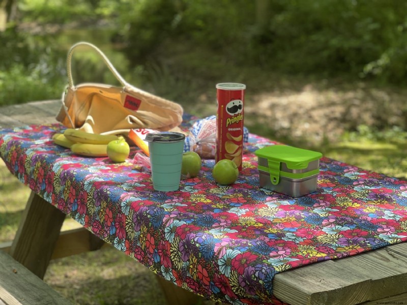 Mantel de picnic fácil de hacer tú mismo que no vuela lejos