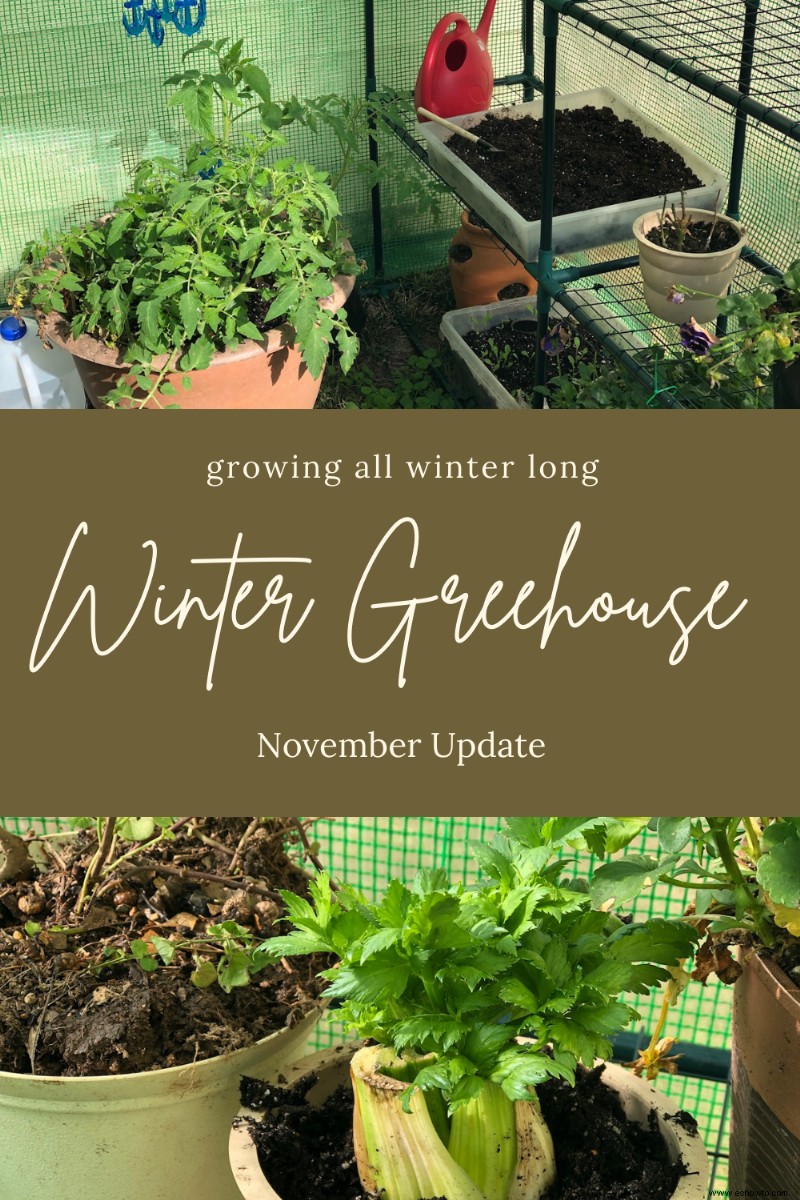 Actualización sobre jardinería en invernaderos de invierno
