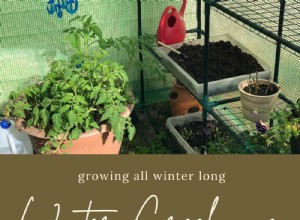 Actualización sobre jardinería en invernaderos de invierno