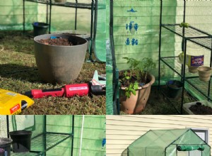 Iniciando el Experimento del Invernadero: Mi Guía Práctica para Principiantes en Kentucky