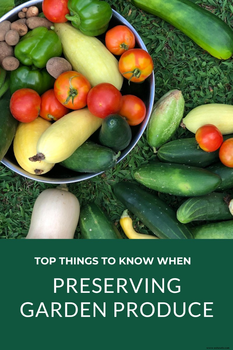 Principales cosas que debe saber al conservar productos del jardín