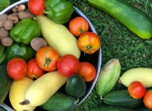 Guía esencial: Lo principal que debes saber para conservar productos del jardín