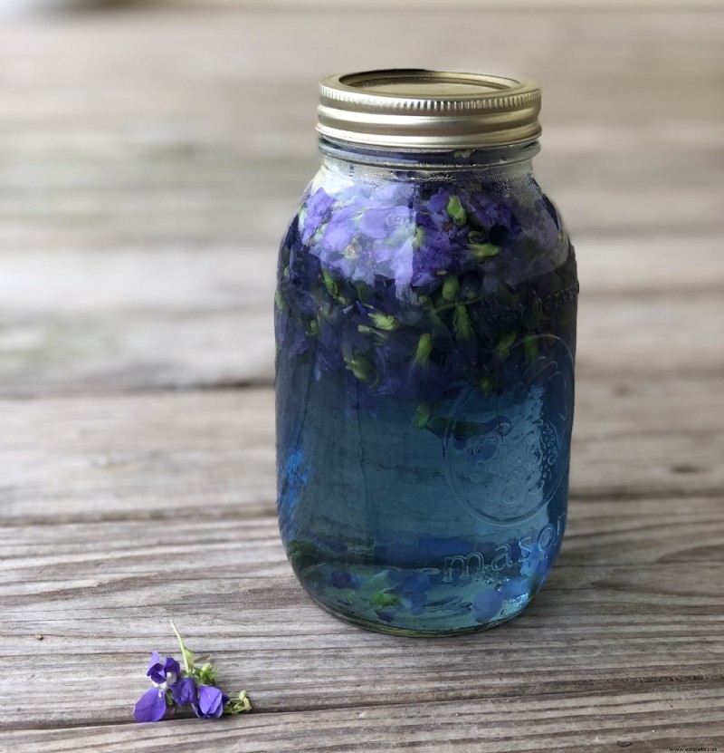 Cómo hacer gelatina de violeta silvestre