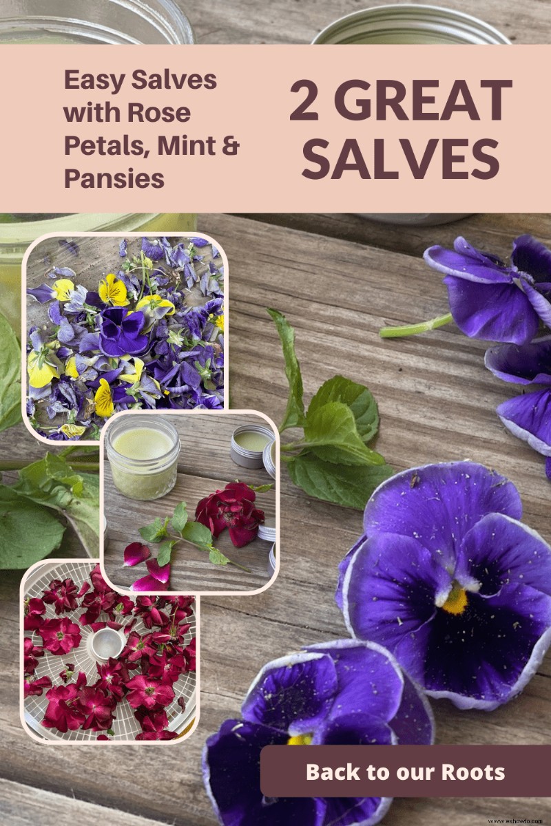 Bálsamo Easy Rose Mint &Pansy Mint