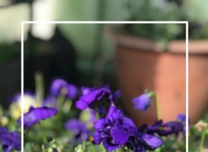 Actualización de Enero: Mi Invernadero de Invierno sin Calefacción en Kentucky