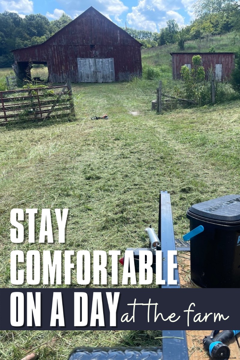 Cómo mantenerse cómodo en un día de campo