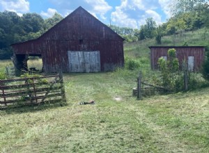 Consejos prácticos para mantenerse cómodo en un día en la granja