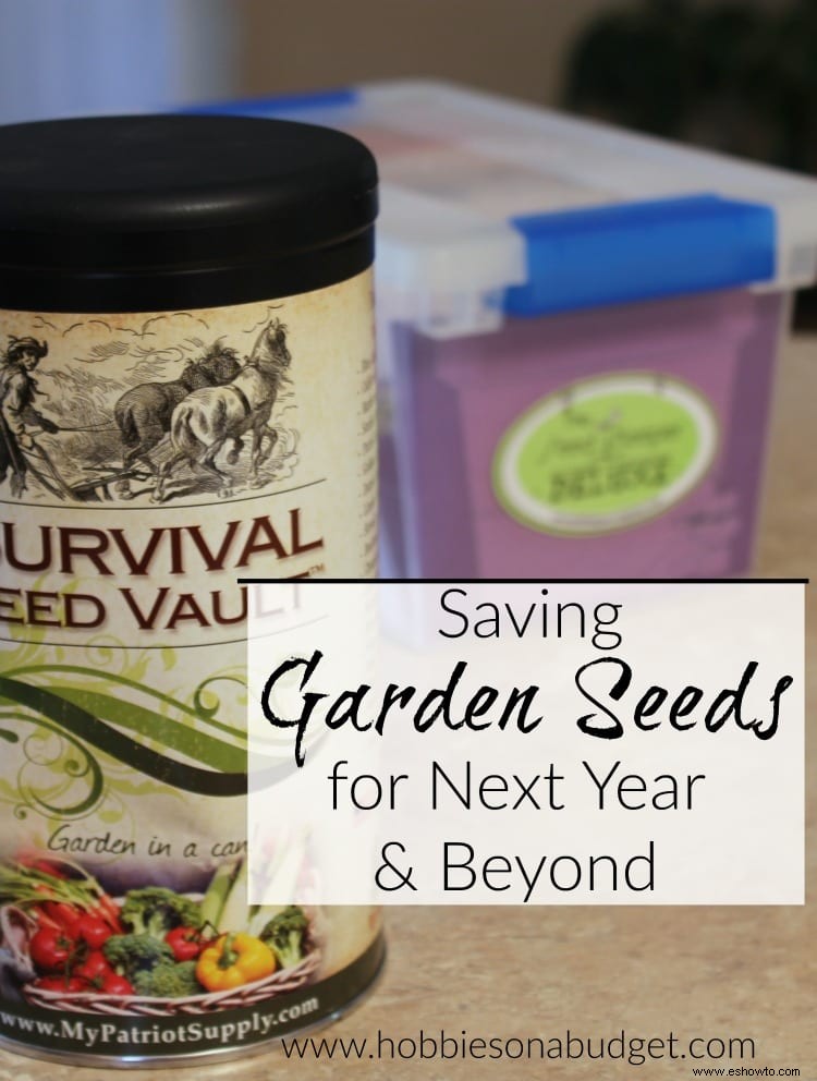 Guardar semillas de jardín para el próximo año y más allá