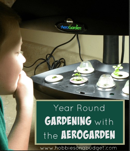 Jardinería durante todo el año con el Aerogarden