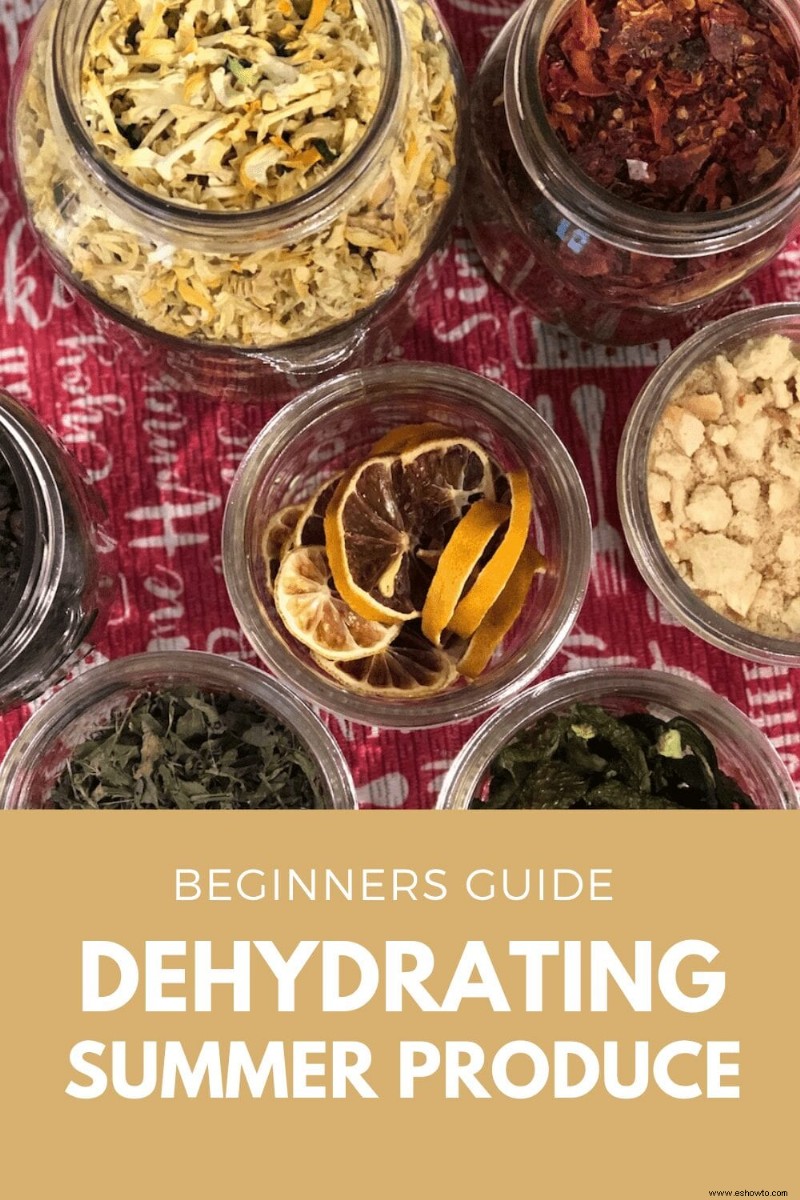 Guía para principiantes sobre deshidratación de alimentos