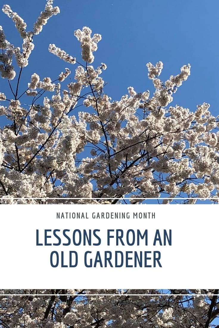 Lecciones de un viejo jardinero