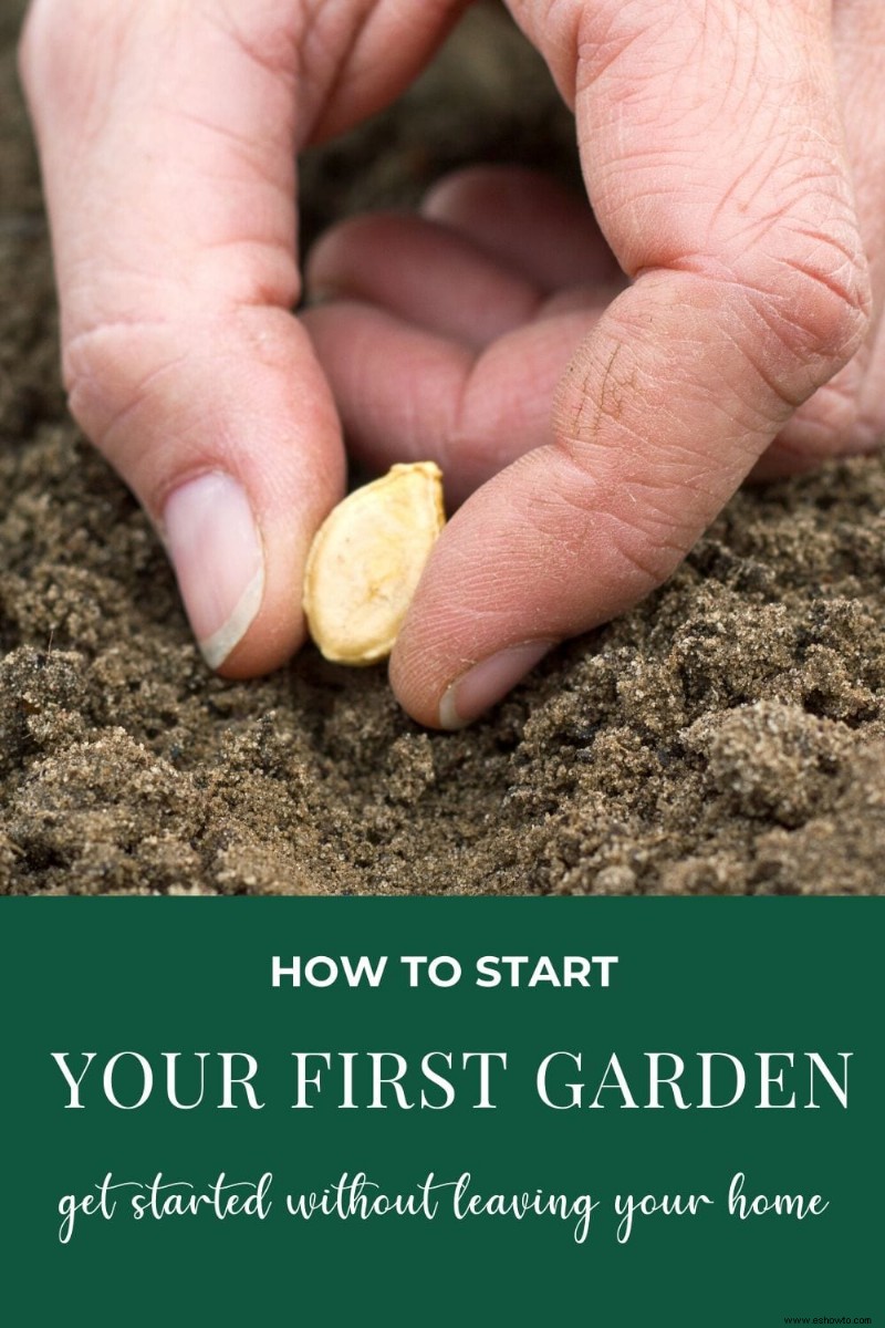 Cómo iniciar su primer jardín