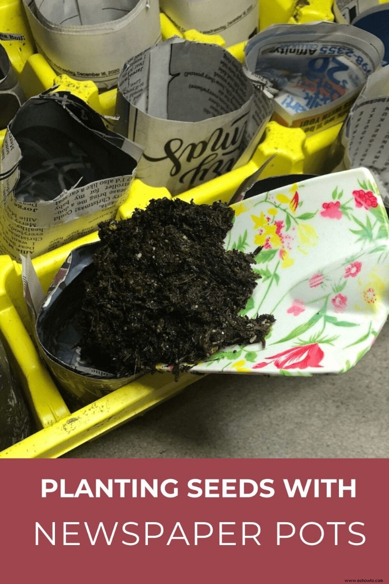Plantar semillas con macetas de periódico