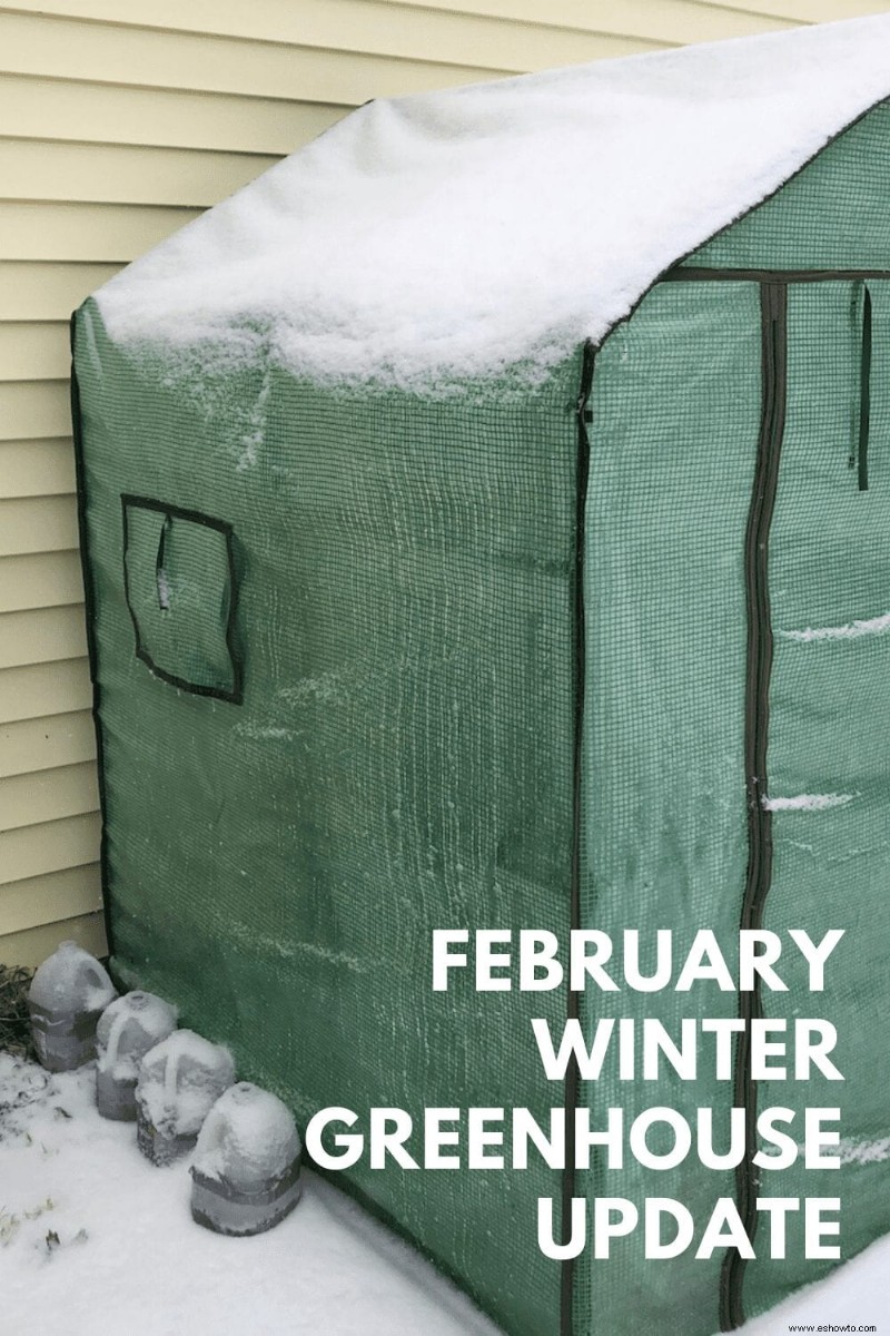 Actualización del invernadero de invierno de febrero