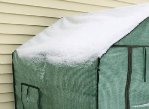 Actualización de febrero: Mi invernadero sin calefacción resiste el invierno