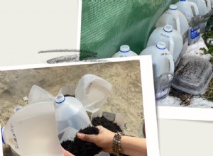 Guía Práctica de Siembra de Invierno en Jarras de Leche (Parte 1)