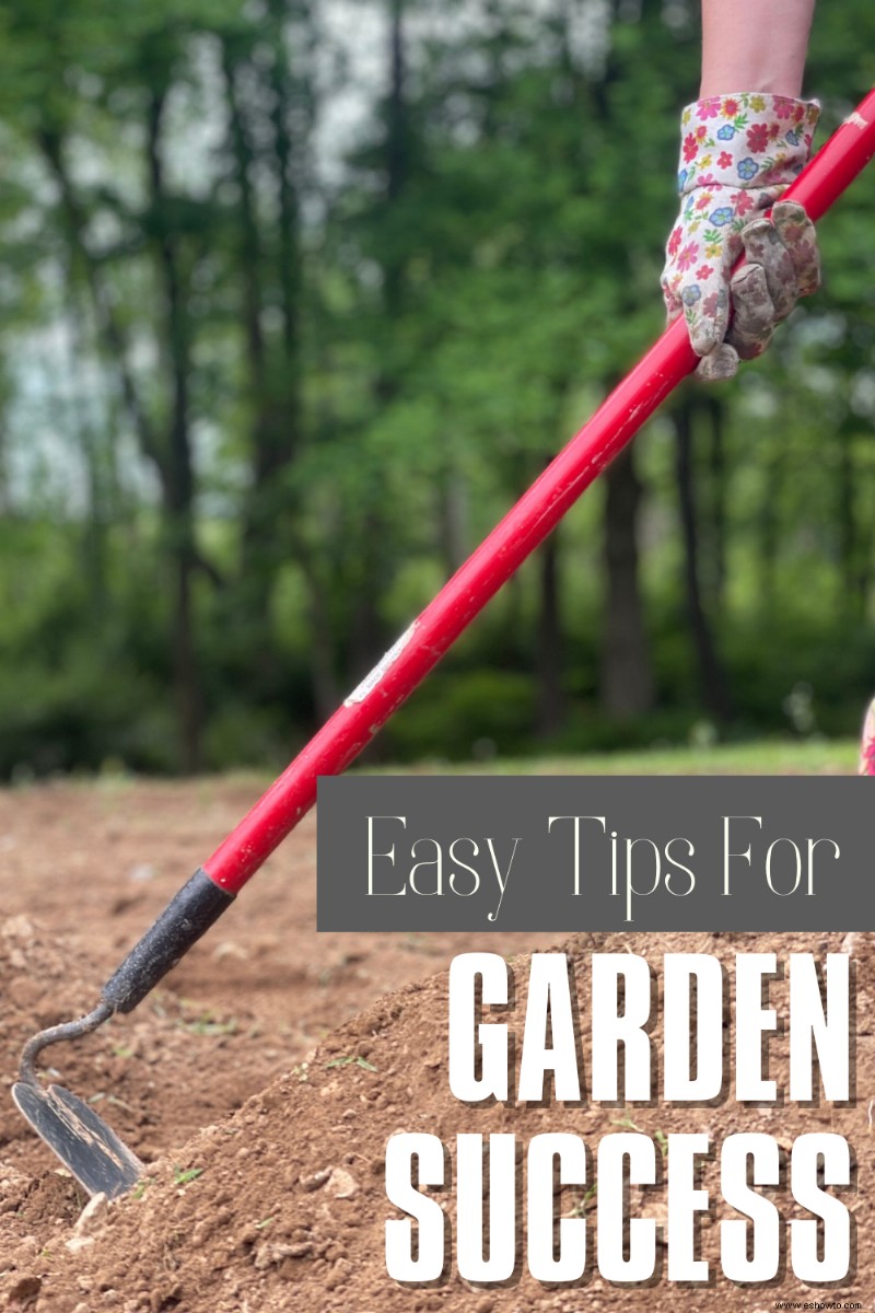 Consejos fáciles para el éxito del jardín