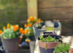 Cómo usar contenedores en el jardín: consejos prácticos para mayor versatilidad