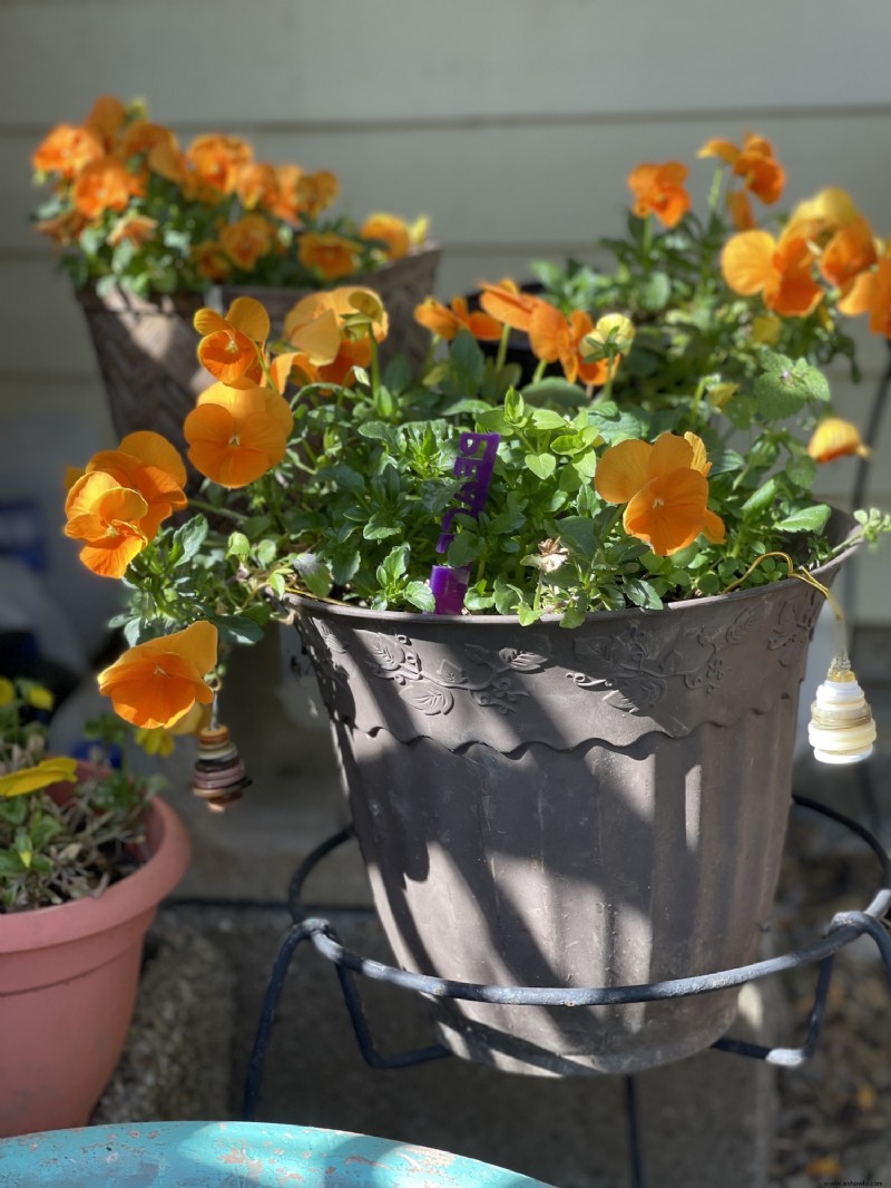 Uso de contenedores en el jardín