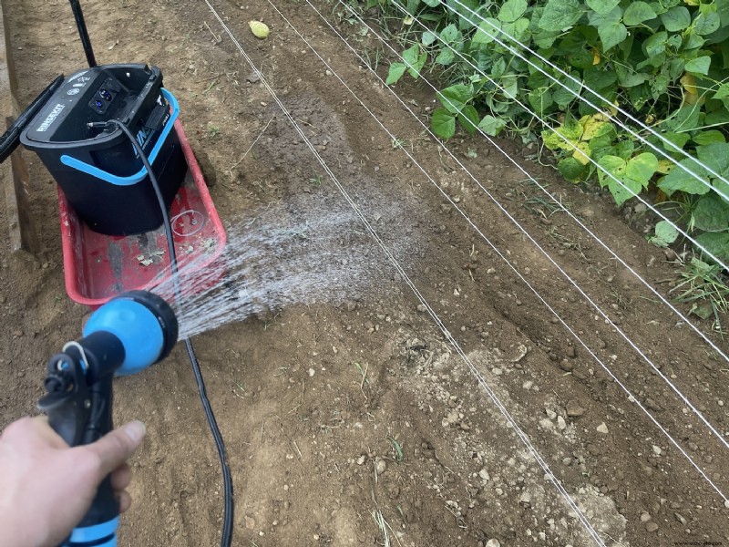 Preparando el jardín de otoño