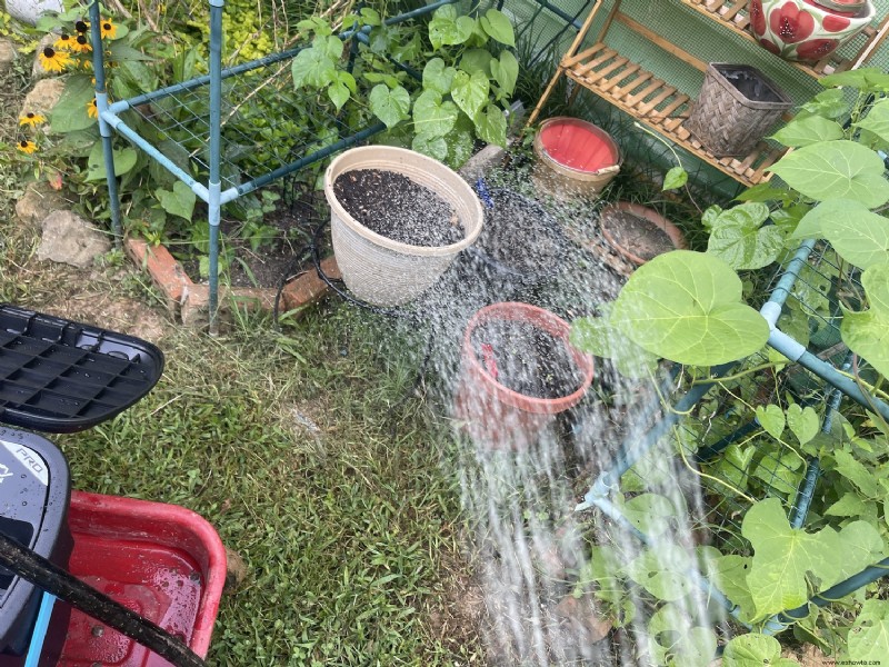 Preparando el jardín de otoño