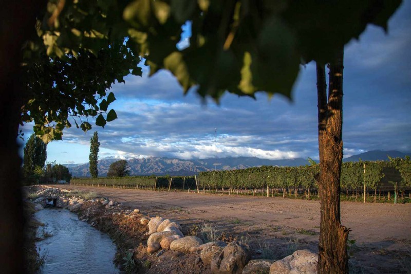 Para las mejores vacaciones de vino, dirígete a Argentina