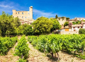 Vallée de la Gastronomie: La Ruta Enogastronómica Imperdible de Dijon a Marsella