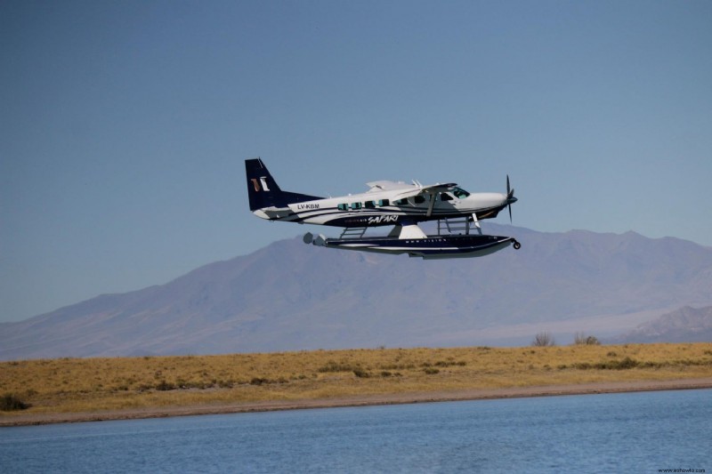 Un nuevo safari de ensueño te lleva a través de la Cordillera de los Andes, la Patagonia y más allá