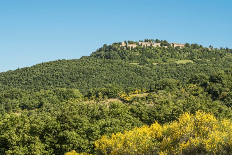 Una aldea toscana que alguna vez fue abandonada es ahora un impresionante hotel con una escuela de cocina y cenas panorámicas