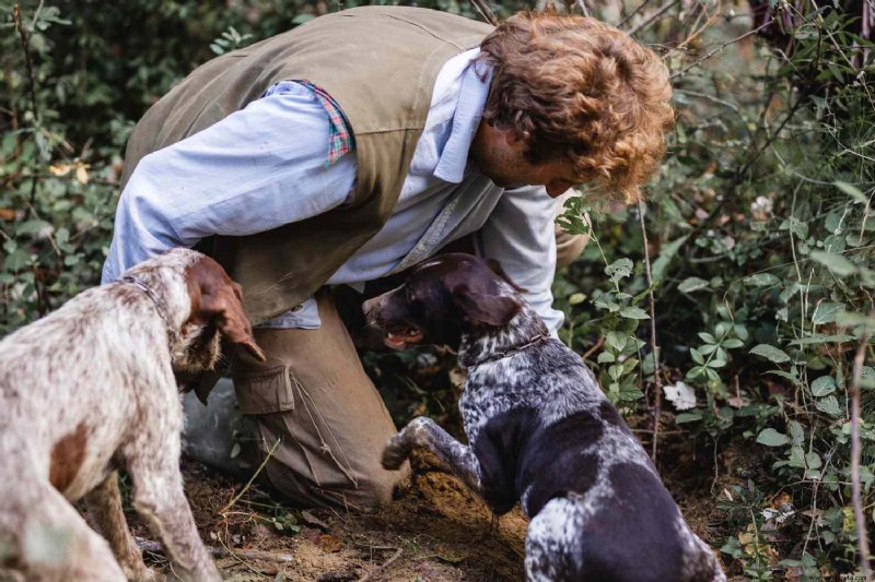 Puedes ir a cazar trufas en bicicleta en esta excursión de ensueño a la Toscana