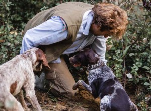 Puedes ir a cazar trufas en bicicleta en esta excursión de ensueño a la Toscana