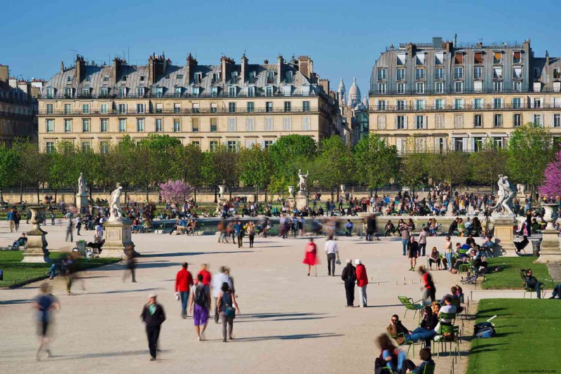 Restaurantes legendarios de París que están a la altura de las expectativas