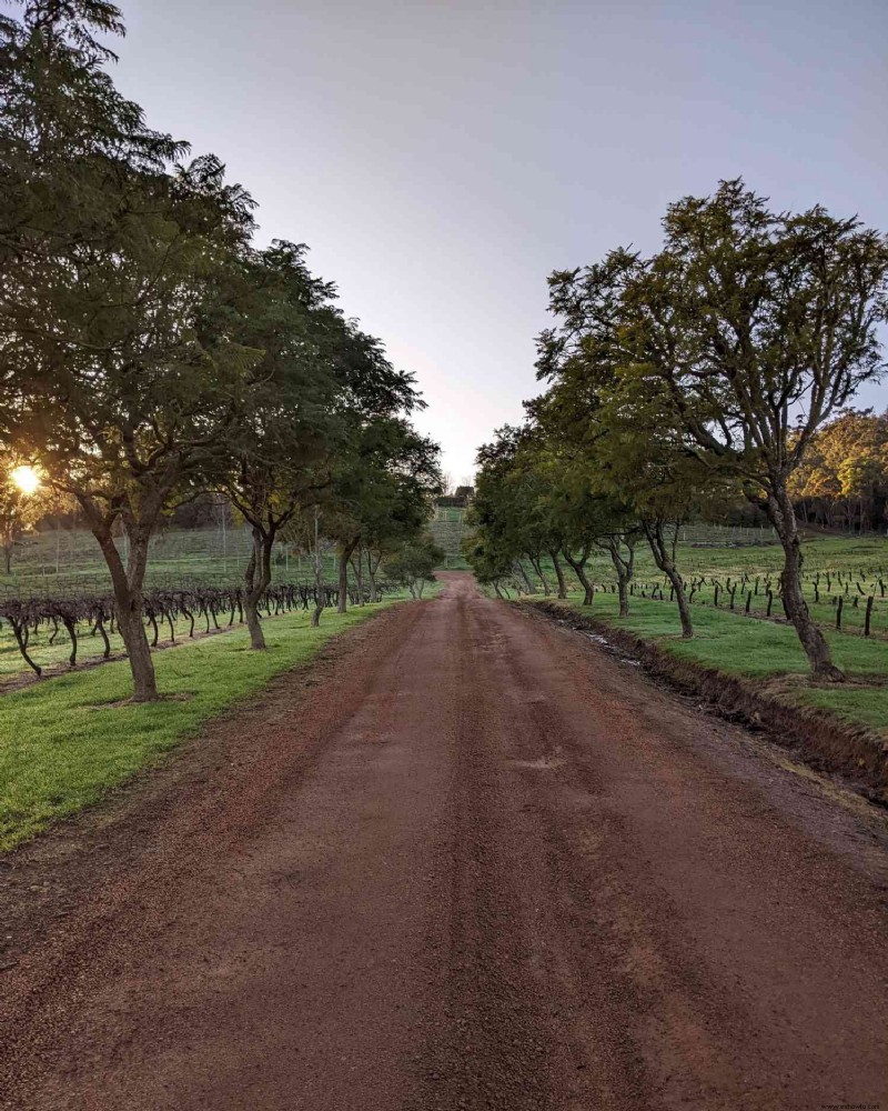 Beba vinos con emúes y canguros en este viñedo de Australia Occidental