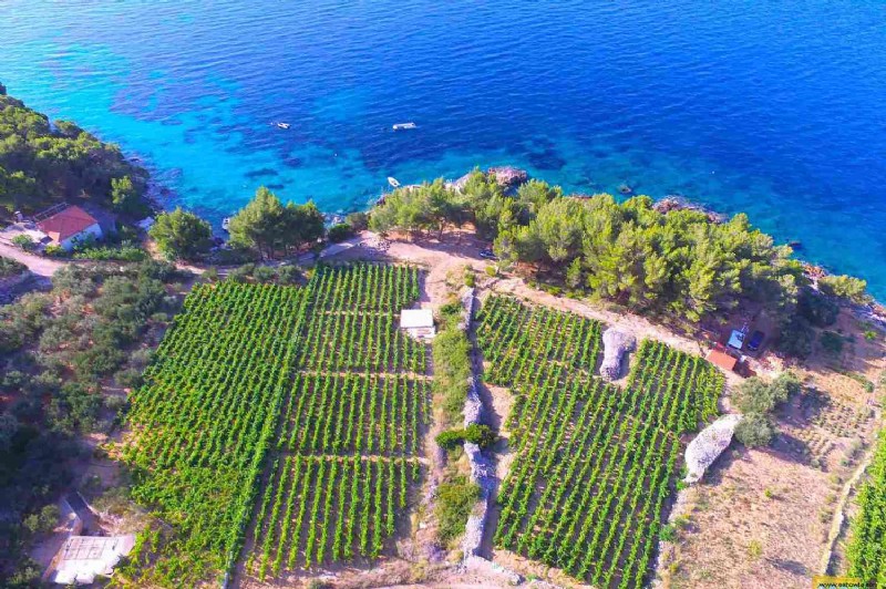 A esta pintoresca cata de vinos en una cueva croata solo se puede acceder en barco 