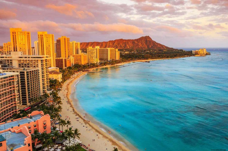 Explora los mejores lugares de Lee Anne Wong en Honolulu