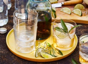 Receta Fácil: Tequila Tónica con Infusión de Verbena de Limón en 5 Minutos