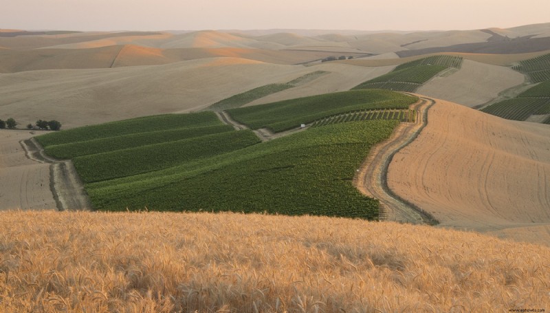 Vinos del estado de Washington