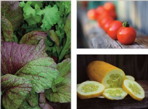 Una Cosecha Abundante: Granjas Locales en Missouri y Kansas con Productos Frescos y Orgánicos