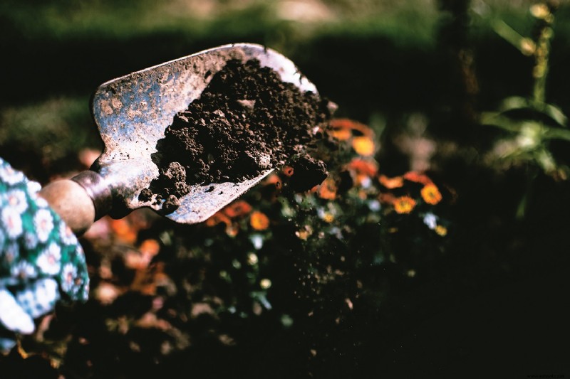 Preparando su jardín de primavera