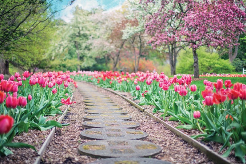 Preparando su jardín de primavera