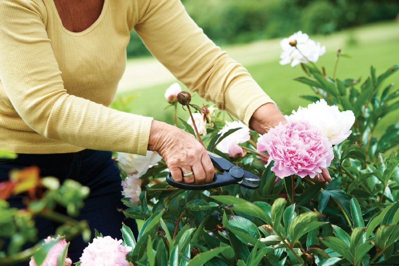 Preparando su jardín de primavera