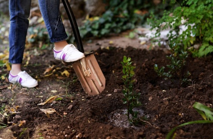 Lista enorme de herramientas de jardín esenciales