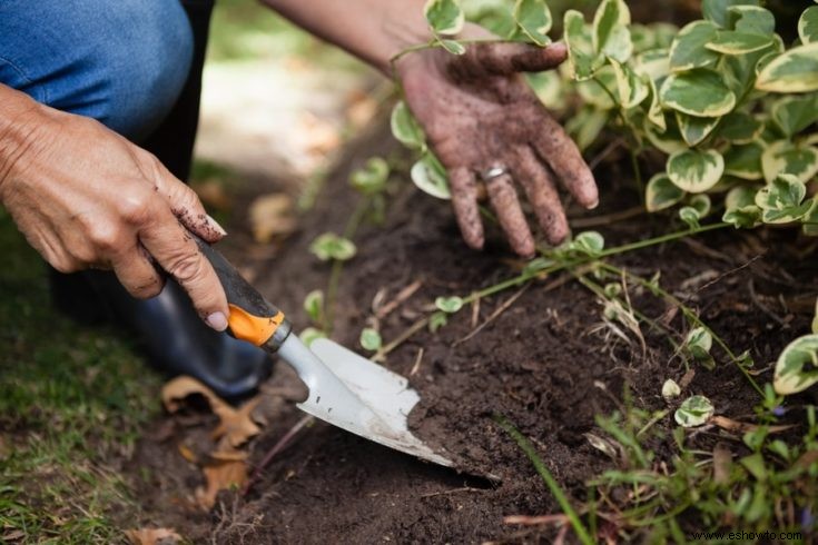 Lista enorme de herramientas de jardín esenciales