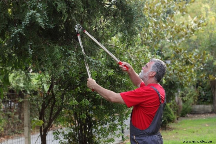 Lista enorme de herramientas de jardín esenciales