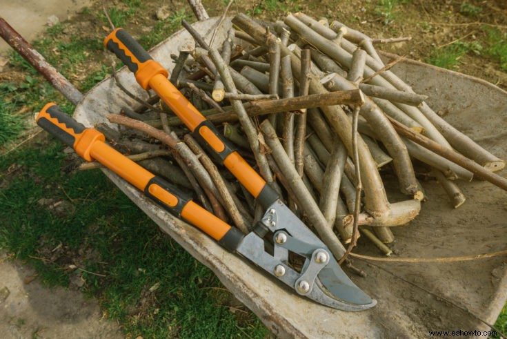 Lista enorme de herramientas de jardín esenciales