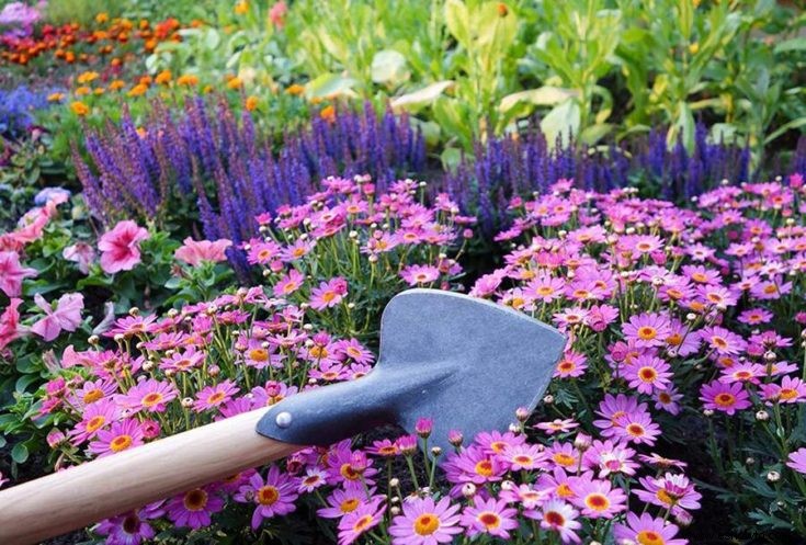 Lista enorme de herramientas de jardín esenciales